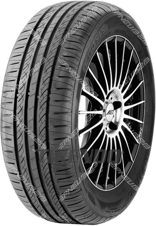 Pneumatiky osobní letní 205/55R16 91V Infinity ECOSIS