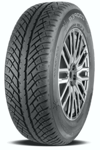 Pneumatiky osobní zimní 205/55R16 91H Cooper Tires DISCOVERER WINTER