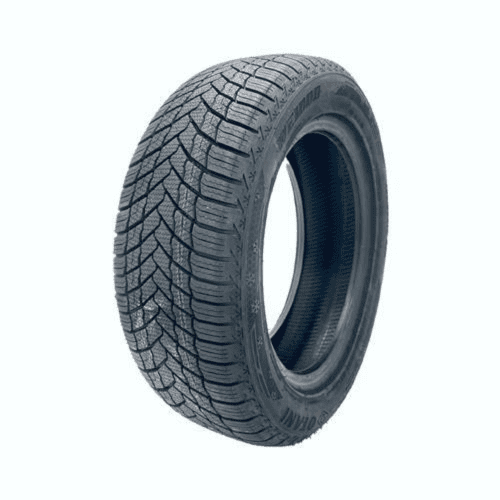 Pneumatiky osobní zimní 215/60R16 99H Otani WE1000 XL